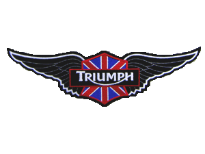 Hinckley Triumph 12" black wing with Union Jack shield & logo